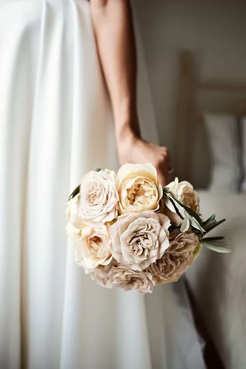 Vip Roses