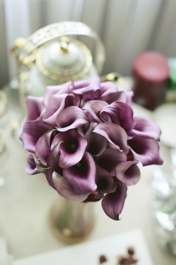 Agnė ir Vaidas / violetinė