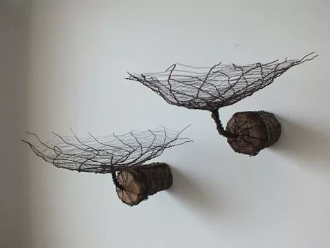 Webs